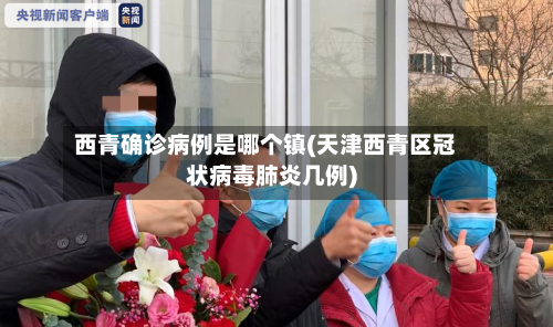 西青确诊病例是哪个镇(天津西青区冠状病毒肺炎几例)-第3张图片