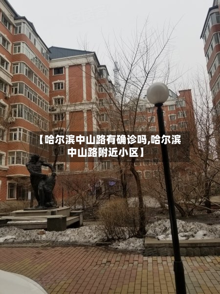 【哈尔滨中山路有确诊吗,哈尔滨中山路附近小区】