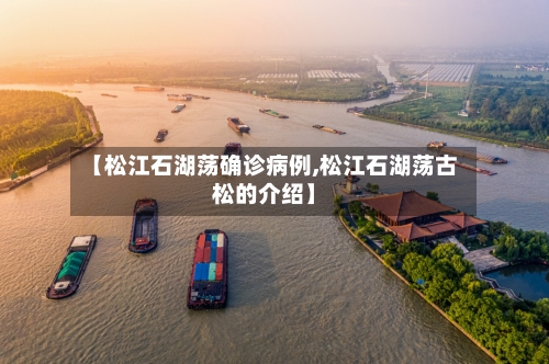 【松江石湖荡确诊病例,松江石湖荡古松的介绍】