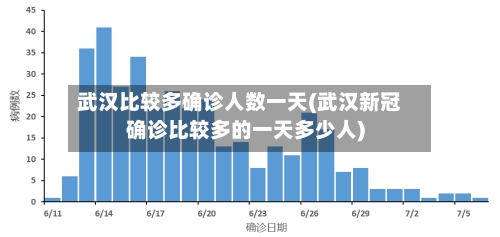 武汉比较多确诊人数一天(武汉新冠确诊比较多的一天多少人)-第3张图片