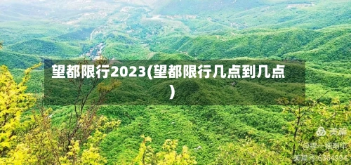 望都限行2023(望都限行几点到几点)-第3张图片