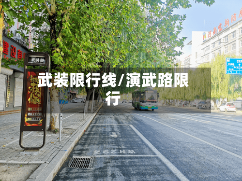 武装限行线/演武路限行