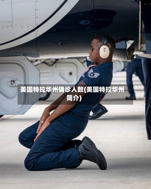 美国特拉华州确诊人数(美国特拉华州简介)