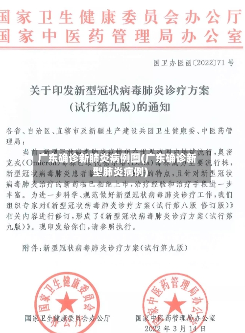 广东确诊新肺炎病例图(广东确诊新型肺炎病例)-第2张图片