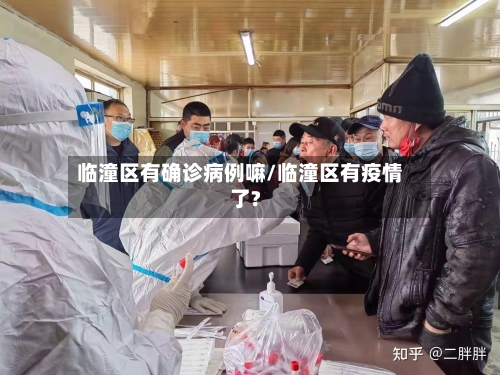 临潼区有确诊病例嘛/临潼区有疫情了?-第3张图片