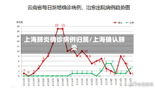 上海肺炎确诊病例归属/上海确认肺炎-第2张图片