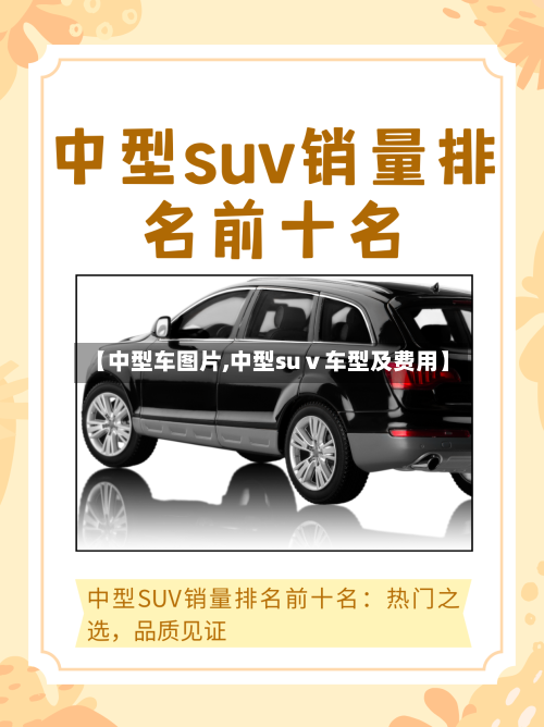 【中型车图片,中型suⅴ车型及费用】
