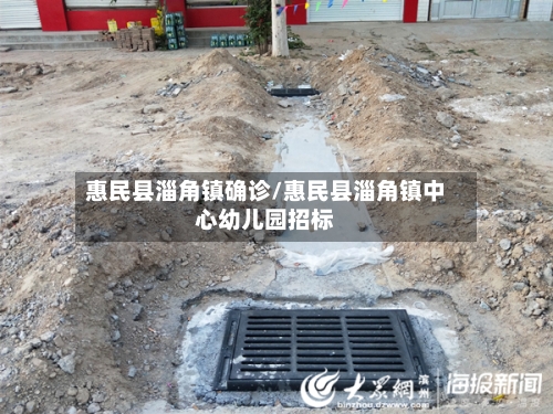 惠民县淄角镇确诊/惠民县淄角镇中心幼儿园招标