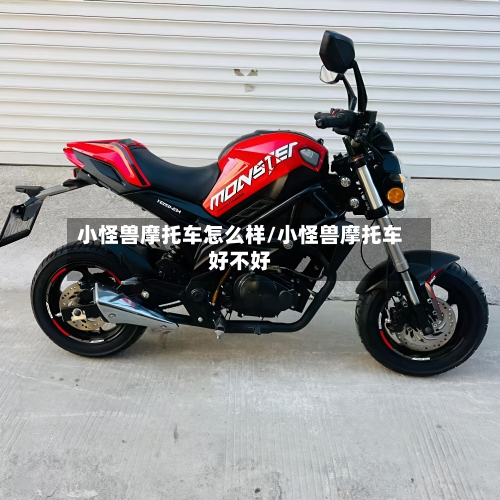 小怪兽摩托车怎么样/小怪兽摩托车好不好-第2张图片