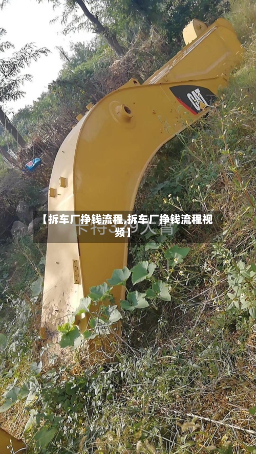 【拆车厂挣钱流程,拆车厂挣钱流程视频】