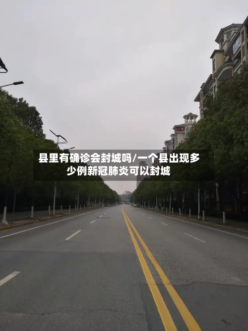 县里有确诊会封城吗/一个县出现多少例新冠肺炎可以封城-第3张图片