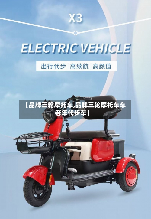 【品牌三轮摩托车,品牌三轮摩托车车老年代步车】-第3张图片