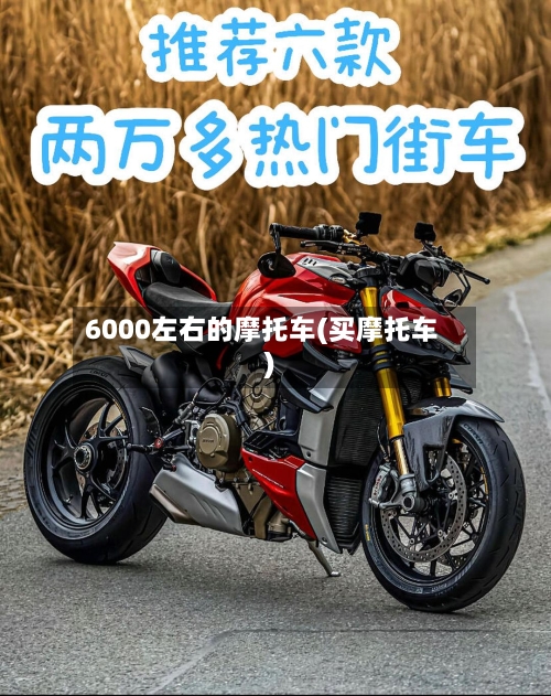 6000左右的摩托车(买摩托车)-第3张图片