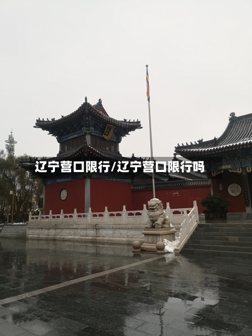 辽宁营口限行/辽宁营口限行吗-第3张图片